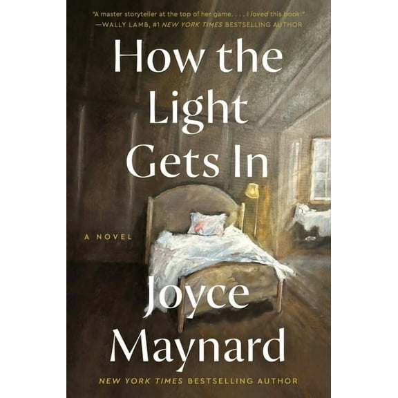 How the Light Gets in, (Paperback)