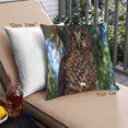 thumbnail image 1 of Ahgly Company Animals Owl Coussin Extérieur, 18 Pouces par 18 Pouces, 1 of 6