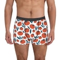 thumbnail image 2 of Goofa Hand Drawn Tomatoes Printed Men's Boxer Briefs Underwear, Moisture-Wicking Underwear, Trunk,Soft and Breathable Cotton Underwear-Small, 2 of 9