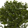 thumbnail image 5 of Nearly Natural 28in. Peperomia Plant UV Resistant (Indoor/Outdoor), 5 of 5