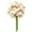 Cream, variant on Ranunculus Artificial Flowers 18 Pcs Champagne Faux Silk Mini Ranunculus Bulk Fake Wedding Filler Flowers for DIY Cream Bouquets, Centerpieces, Bridal Shower Decorations & Arrangements