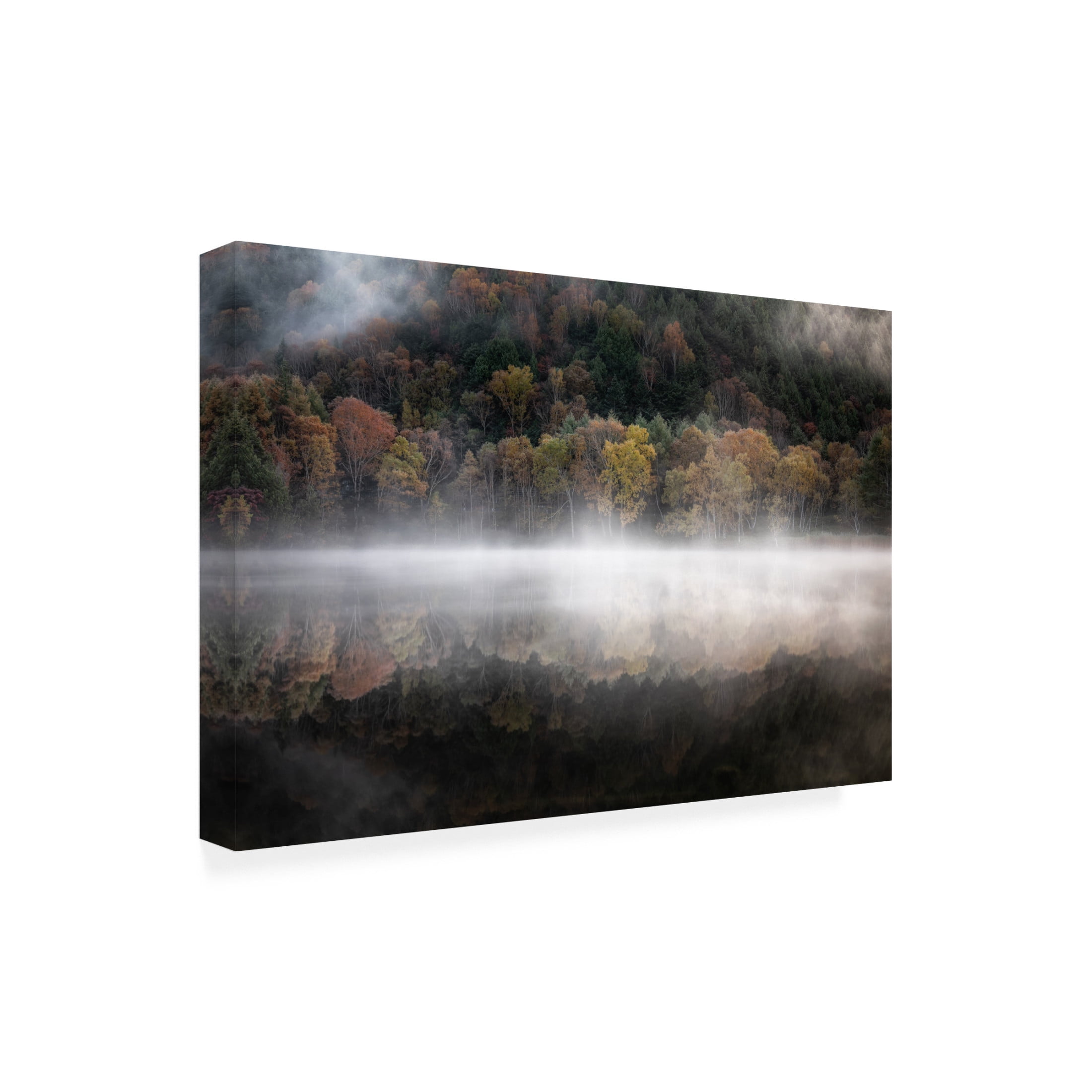 Trademark Fine Art Daiki Suzuki The mystical pond in the autumn Canvas Wall Art