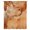 Orange, variant on Marble Sage Green Sheer Curtains 84 Inch Length, Light Filtering Voile Curtain Panel, Modern Abstract Ink Painting Luxury Rod Pocket Drapes Window Treatments for Living Room Bedroom 52"x84"