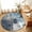 Gray White Blue, variant on Entryway Rug 2'x3', Teal Grey Kitchen Runner Rugs Non-Slip Carpet Mats, Modern Oil Painted Abstract Art Aesthetics Bedside Rugs Runners Washable Floor Carpet for Bathroom Laundry Room