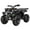 Black, variant on Coolster 170cc Fully Automatic Full Sized Utility ATV 3200U
