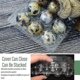 thumbnail image 3 of 100pcs 12 Grids Quail Egg Box Reusable Quail Egg Cartons Egg Storage Box Transparent Fridge Storage Box Mini Egg Dispenser With Lid For Refrigerator, 3 of 5