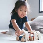 PlanToys® Vroom Truck Wooden Push Toy for Toddlers | Eco-Friendly Toddler Push Car for Indoor Play | Montessori Fine Motor Learning Toys for Kids