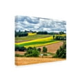 thumbnail image 2 of Trademark Fine Art 'Pastoral Countryside VIII' Canvas Art by Colby Chester, 2 of 4