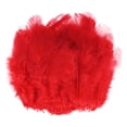 thumbnail image 1 of Uxcell Lot de 600 Plumes pour Artisanat, Plumes Naturelles Moelleuses Rouges de 1.57-3.15 Pouces pour Décorations de Mariage, 1 of 6