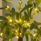 thumbnail image 3 of Olivo decorativo de 18 pulgadas con 30 luces LED de color blanco cálido, funciona con pilas o USB, con temporizador, árbol de vegetación artificial con luces de cadena para bodas, fiestas, 3 of 5