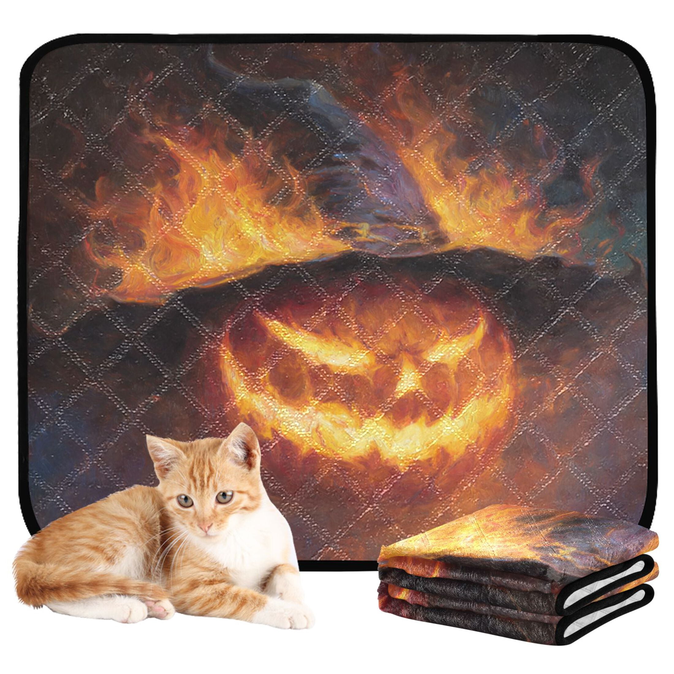 Qxltty Flaming Pumpkin Cat litter Pads Pet Set of 2 Diaper Mats Center Anti-leakage Layer Absorbent Soft and Comfortable