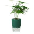 thumbnail image 1 of Plants Basket Durable Wear-Resistant Practical Green Plant Flowerpot, 1 of 4