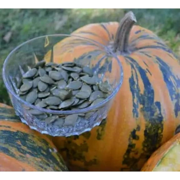 Painted Stripe Pumpkin Seeds for Planting (10 Seeds) - Hybrid HSC151