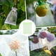 thumbnail image 2 of Uxcell 100 Pack Fruit Protection Bags - 6x8 Inch Fruit Netting Bags with Drawstring Apply to Plants(Green), 2 of 7