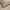 Beige, variant on Superior Madrid Cotton Matelasse Bedspread Set, Full, White