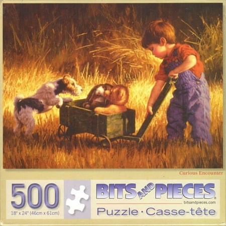 Curious Encounter 500 Piece Puzzle price history on PriceWatchPro
