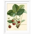thumbnail image 2 of Art.com Bessa Strawberries Art Print by Bessa, White Frame Wall Art, 32" x 40", 2 of 5