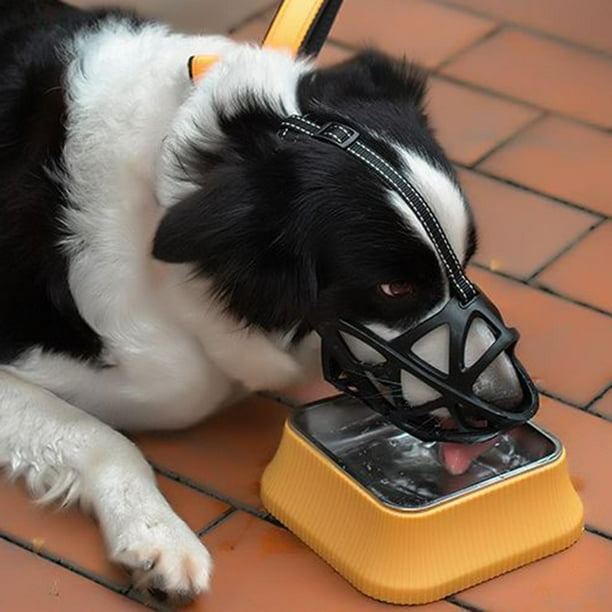 Lightweight dog muzzle 2025