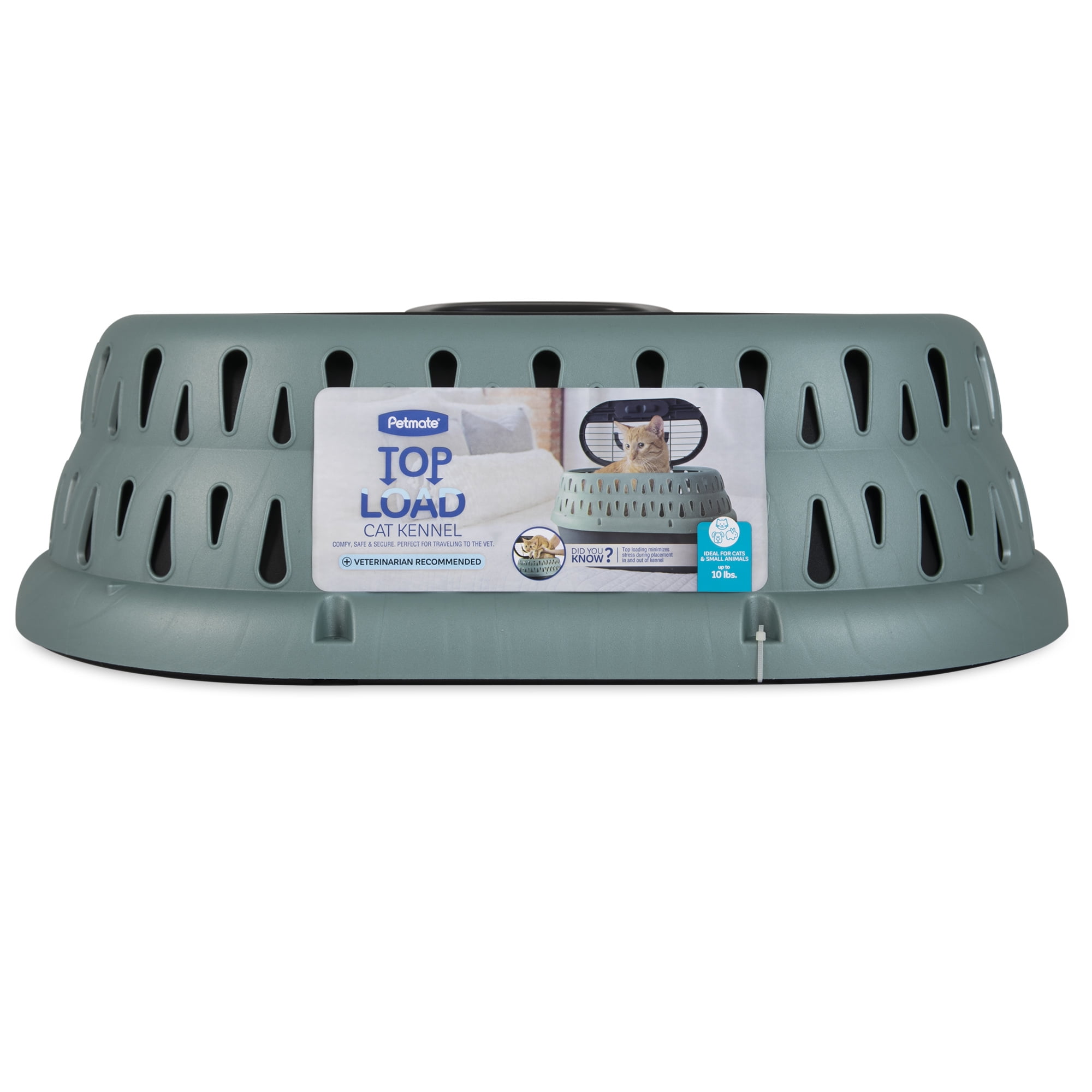 Petmate Top Load Pet Carrier Cat Kennel, 19" Length, for Pets up to 10 lb, Green