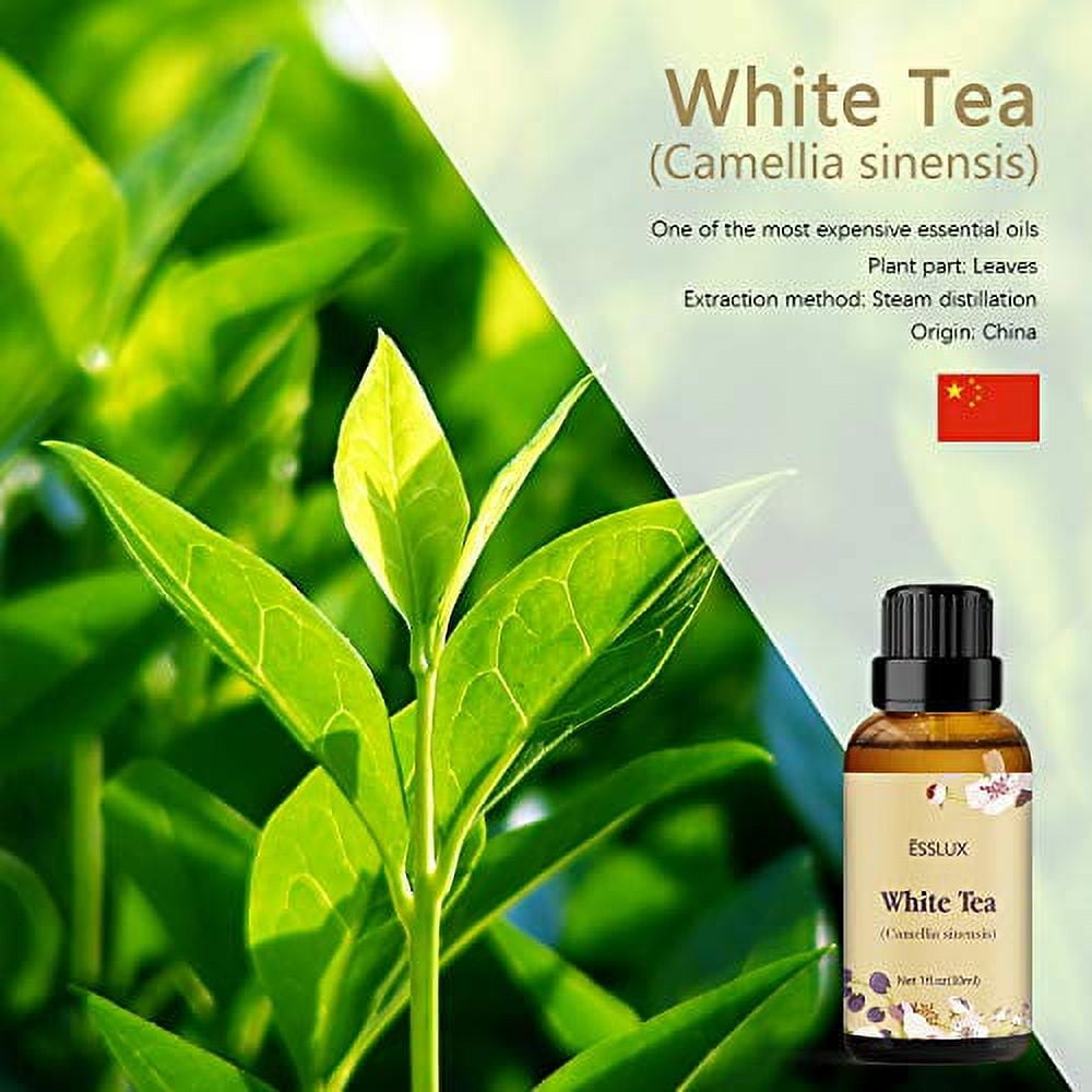 White Tea Essential Oil, ESSLUX Aromatherapy Essential Oils for Diffuser,  Massage, Soap, Candle Making, Home Fragrance, 30 ml 