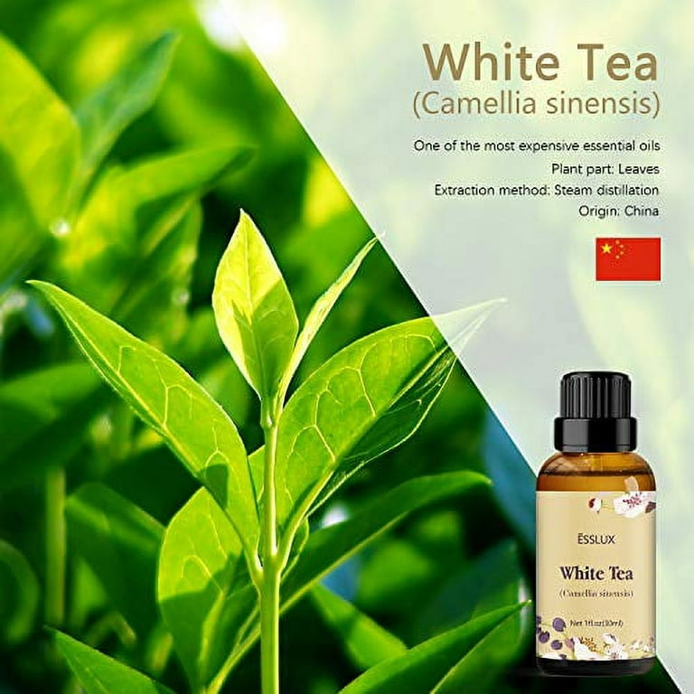 White Tea Essential Oil, ESSLUX Aromatherapy Essential Oils for