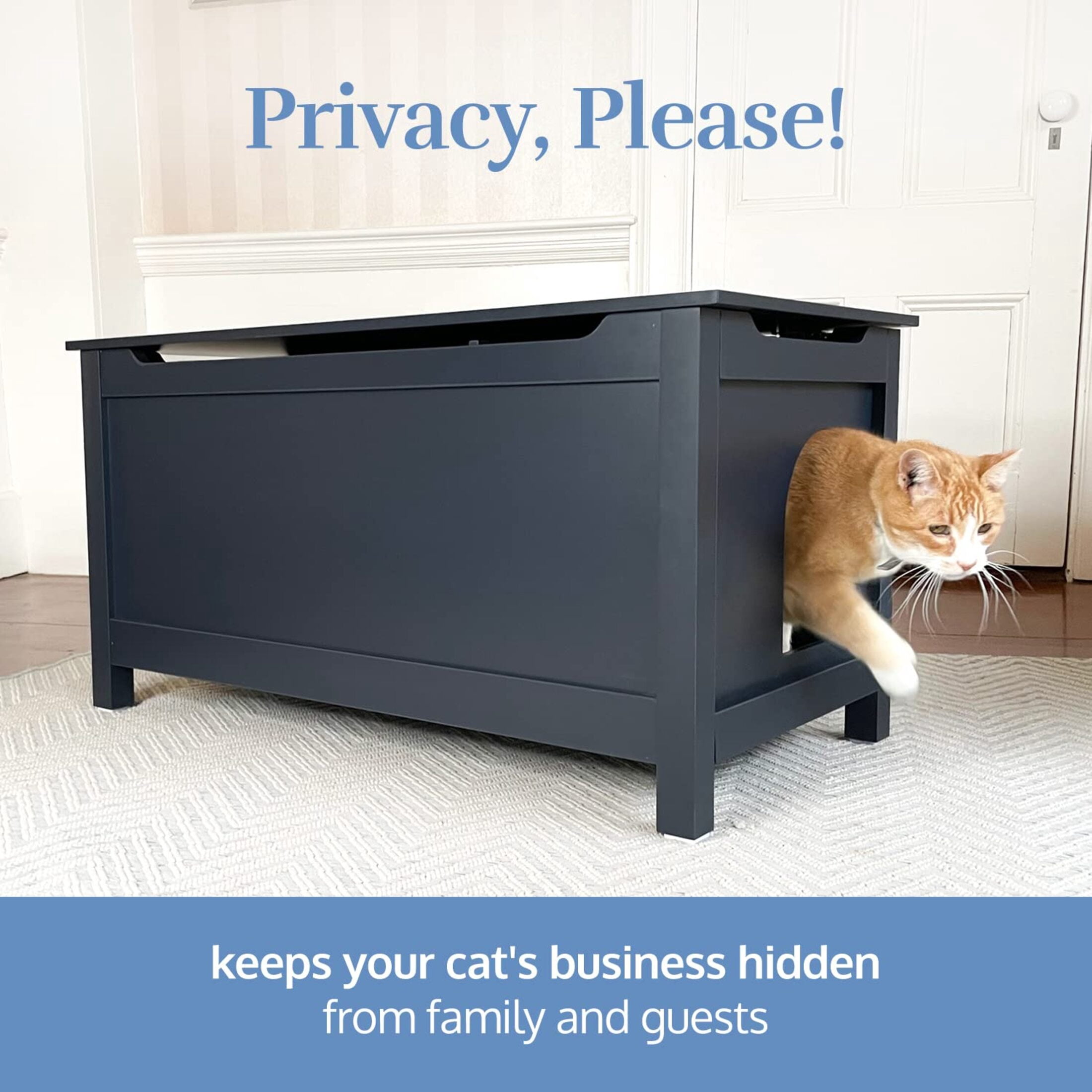 Catbox Cat Litter Box Enclosure, Hidden Dog-Proof Pet Furniture with Cover (Charcoal)