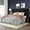 Black, variant on Allewie King Size Velvet Bed Frame/Vertical Channel Tufted Wingback Headboard/Upholstered Platform Bed/Strong Wooden Slats/No Box Spring Needed/Easy Assembly/White