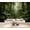 Color 2, variant on Wallpaper Green Tropical Monstera Leaves Botanical Peel and Stick Wall Murals 69"H x 96"W Removable PVC Wall Paper Self-Adhesive Wall Paintings Art Decor for Bedroom Living Room