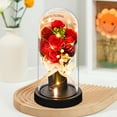 thumbnail image 3 of Lyacmy Valentines Day Preserved Flowers Bouquet Gifts for Her,Red 7 Eternal Rose Forever Flower for Mother's Day Wife Girlfriend Mom Birthday Anniversary, 3 of 7