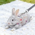 thumbnail image 6 of Bunny Harness and Leash Set for Rabbits & Small Pets - Escape-Proof Rabbit Harness with Adjustable Clothes - Soft Bunny Leash for Guinea Pigs, Ferrets & More, 6 of 6