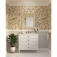 thumbnail image 3 of Quillan Collection Three-Light White Plaster Transitional Bath & Vanity Light, 3 of 13