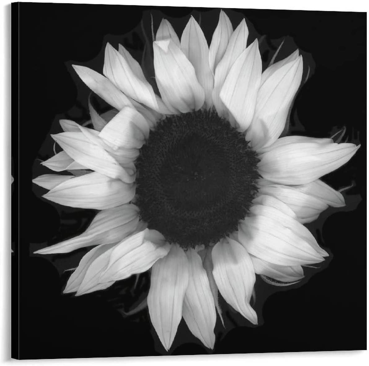 Black And White Wall Art Sunflower Canvas Posters Prints for Living Room Bedroom Office Kitchen