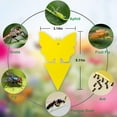 thumbnail image 5 of 10PCS Sticky Traps Fruit Fly Fungus Gnat Trap Insect Indoor Outdoor Houseplant Sticky Bug Insect Catcher Glue Trappers, 5 of 6