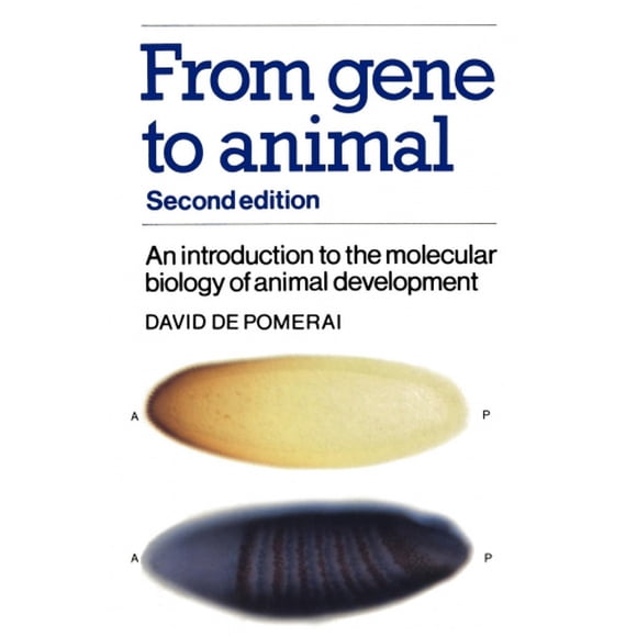 From gene to animal