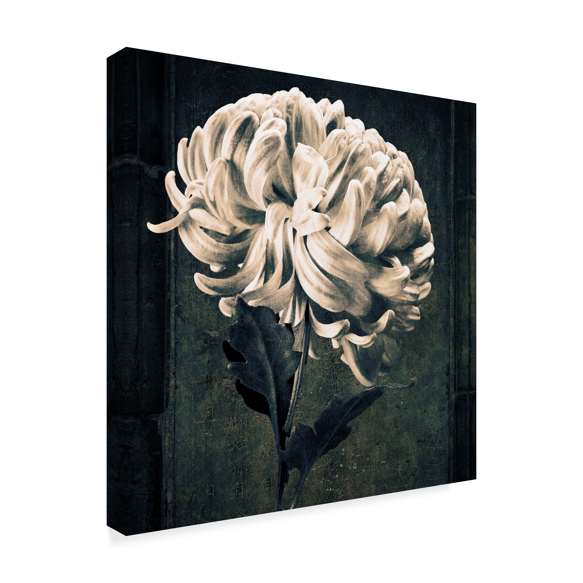 Trademark Fine Art 'Mum Texture' Canvas Art by Michael Harrison