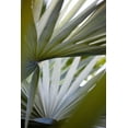 thumbnail image 2 of Mourier, Lily 13x18 White Modern Wood Framed Museum Art Print Titled - Transcending I, 2 of 4