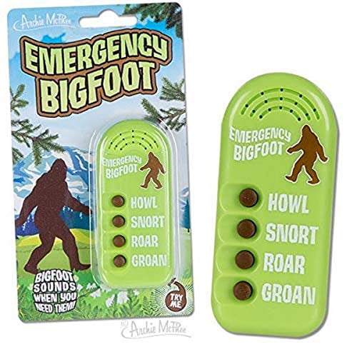 Bruits Électroniques Bigfoot d'Urgence