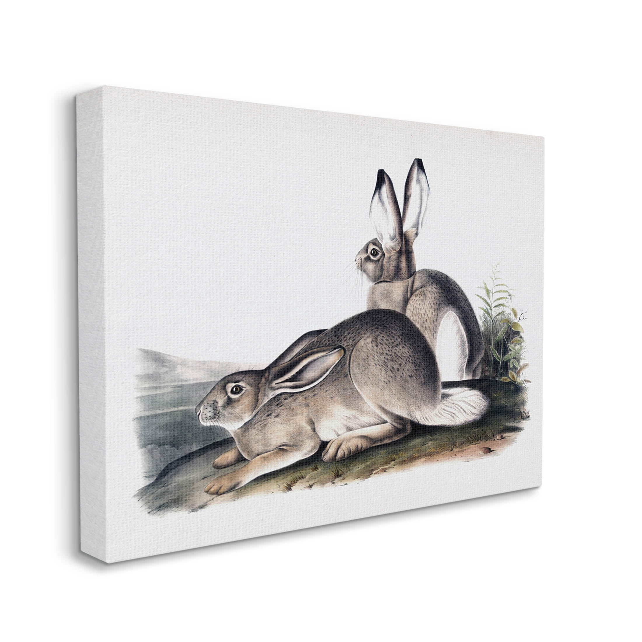 Rabbit Duo Gazing Animals Animals & Insects Painting Gallery Wrapped Canvas Print Wall Art