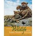 thumbnail image 1 of Pre-Owned Painting Wildlife With John Seerey-Lester (Hardcover) 1581802420 9781581802429, 1 of 1