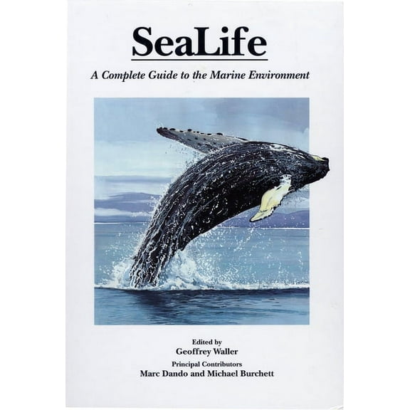 Sealife (Hardcover)