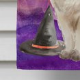 thumbnail image 4 of Carolines Treasures CK3187CHF Ragdoll Halloween Flag Canvas House Size, 4 of 4
