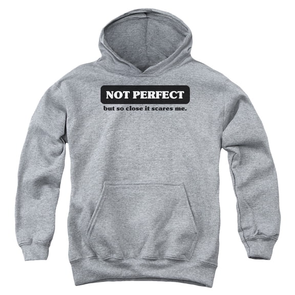 - Not Perfect - Youth Hooded Sweatshirt - Large