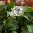 thumbnail image 4 of CAROOTU Cute Automatic Flower Watering Device Glass Self-Watering Stakes Plant Glass Waterer Automatic, 4 of 6