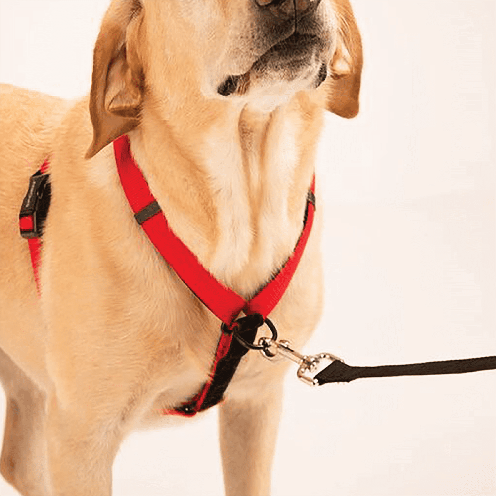 Sporn Adjustable Ultimate Dog Control Harness, Black, M (18" to 30" Chest Size)