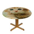 thumbnail image 3 of Patifu Cute Cat Round Tablecloth Stain-Resistant Washable for Indoor Outdoor Restaurants Weddings Parties Mother's Day Home Kitchen Decor 38"-42, 3 of 8