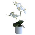 thumbnail image 1 of Bonsaï Artificiel Bonsaï Artificiel Résistant à l'Usure Sans Faner Orchidée Fleur de Bonsaï Simulation pour Jardin, 1 of 6