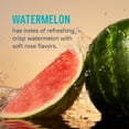 thumbnail image 2 of (Pack Of 32) Liquid Iv Hydration Electrolyte Drink Mix Watermelon 0.56 Oz, 2 of 6