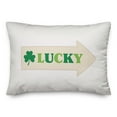 thumbnail image 2 of Creative Products Lucky Arrow 20 x 14 Spun Poly Pillow, 2 of 3