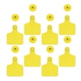 thumbnail image 4 of CIMAXIC 100pcs Plastic Ox ID Tag Animal Ear Tags Animal Tags Cow Blank Ear Tag,2.85"X2.36"X0.24", 4 of 5