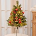 thumbnail image 5 of EWASWON Christmas 16 Inch Pre-lit Artificial Christmas Tree with 30 LED Lights, 8 Modes, Timer, Metal Ground Stakes, Berries & Cones - Indoor Outdoor Decor, 5 of 9